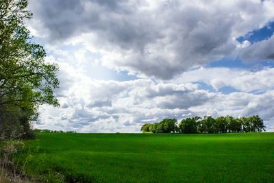 Scenic view of grassy field against cloudy sky