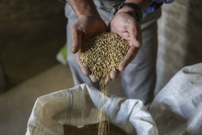 Close-up of man working in tray