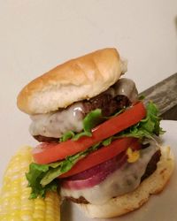 Close-up of served food