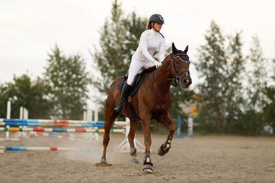 Rear view of woman riding horse at beach