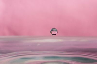 Close-up of  water drops on pink background