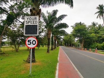 Information sign on road by trees