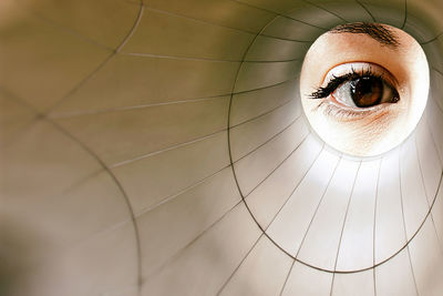 Looking through the metal cylinder