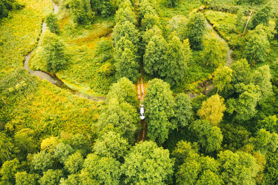 Aerial landscape of winding river in green field, top view of beautiful nature background from drone