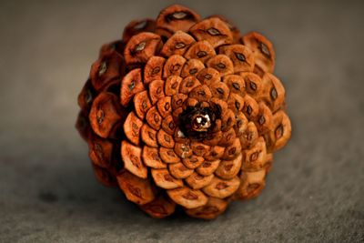 Close-up of pine cone