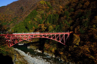 Bridge over river amidst trees in forest