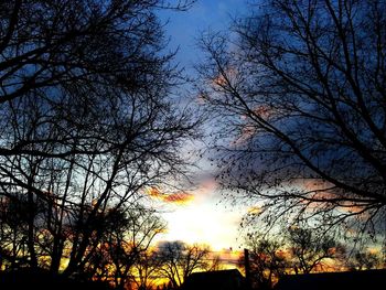 Low angle view of silhouette trees against sky