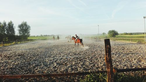 People riding horse on ground against sky