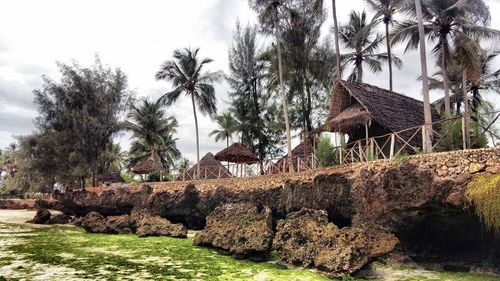 Houses by palm trees against sky