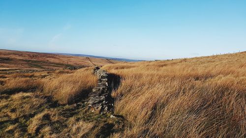 Scenic view of land against clear sky