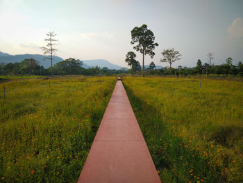 Scenic view of land against sky