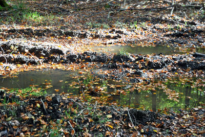 View of rocks in water