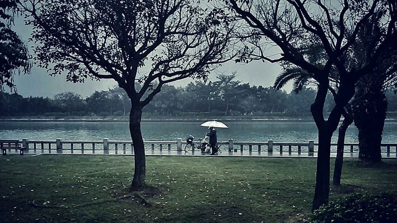 tree, water, bare tree, tranquility, tranquil scene, branch, scenics, lake, nature, beauty in nature, bench, sky, silhouette, river, railing, tree trunk, idyllic, outdoors, clear sky, rear view