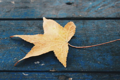 High angle view of dry leaf on wood