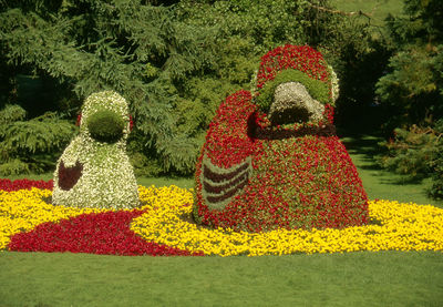 Close-up of flowers in park