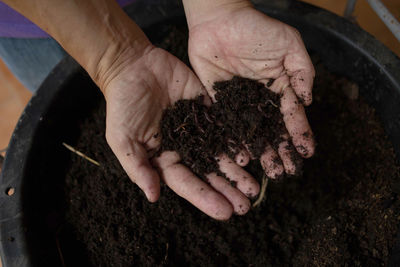 Cropped hands of woman holding soil