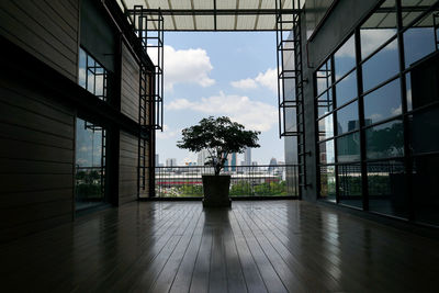 Trees and building seen through glass window