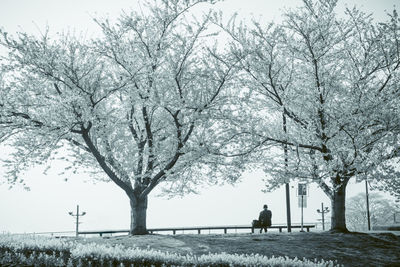 Rear view of man walking in park against sky