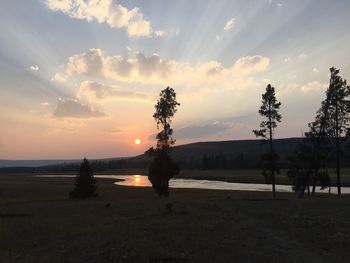 Silhouette trees on landscape against sky during sunset