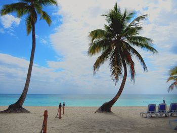 Palm trees at beach against sky