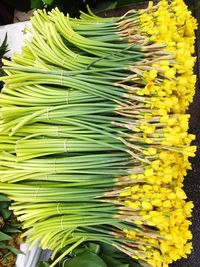 Close-up of yellow flower for sale