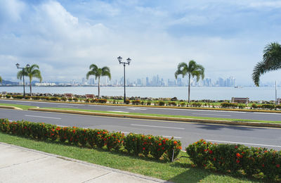 View of street by plants against cloudy sky