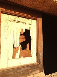 Close-up of cat on window