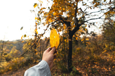Man holding autumn leaves