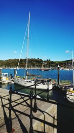 Sailboats in marina