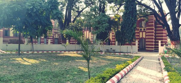 Footpath by trees and building in park