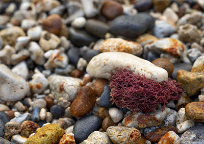 Close-up of stones on pebbles