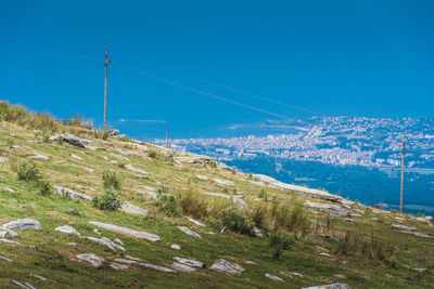 Scenic view of landscape against clear sky