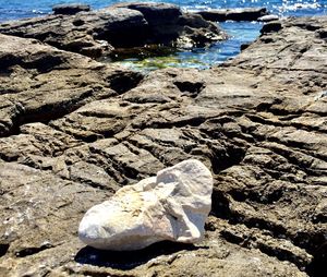 Close-up of rocks on shore at beach