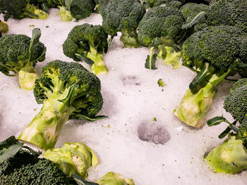 High angle view of vegetables