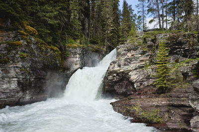 Scenic view of waterfall in forest