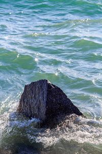 High angle view of sea shore