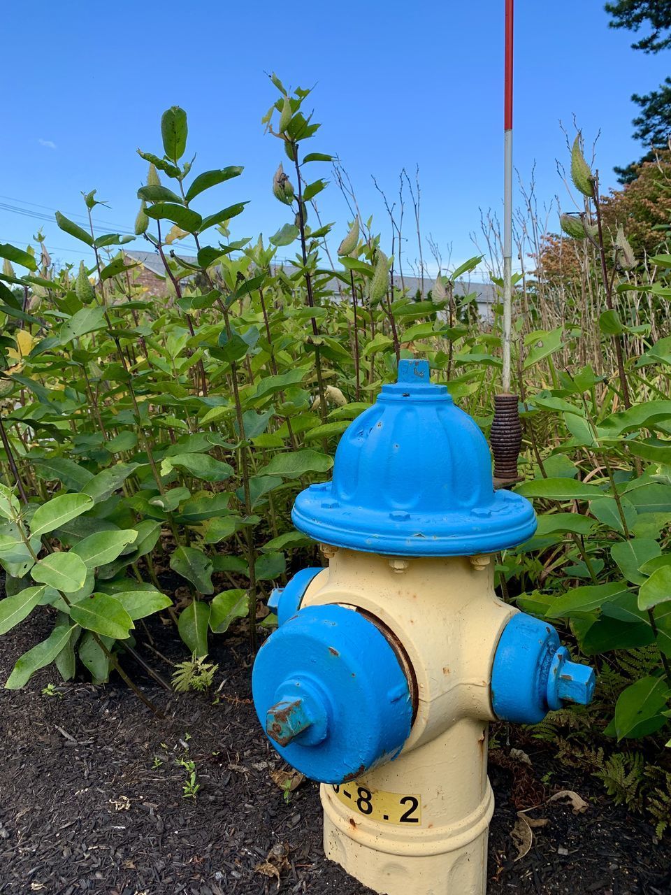 VIEW OF FIRE HYDRANT ON FIELD AGAINST SKY