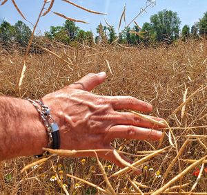 Midsection of man hand on field