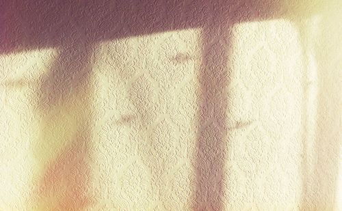 Close-up of shadow on wall