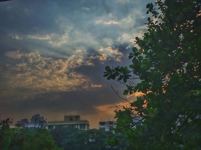 sky, tree, building exterior, cloud - sky, architecture, built structure, sunset, cloudy, growth, low angle view, nature, beauty in nature, house, cloud, weather, scenics, overcast, residential building, outdoors, no people