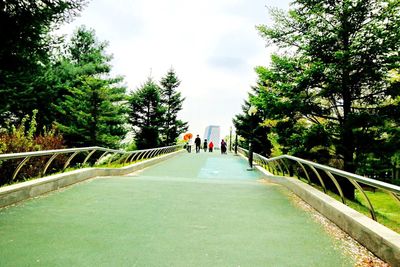 People walking on footbridge along road