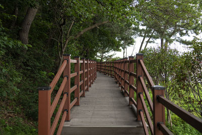 Low angle view of staircase