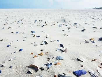 Close-up of pebbles on beach against sky