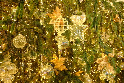 Close-up of illuminated christmas tree