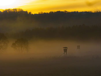 High seats in the morning mist