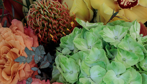 Close-up of flower bouquet for sale in market