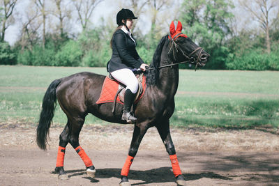 Man riding horse on field