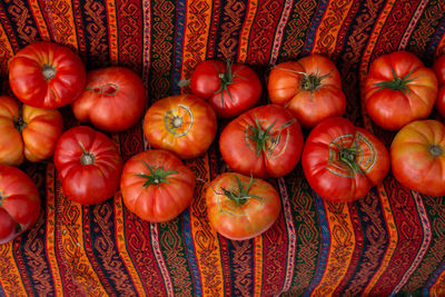 High angle view of pumpkins