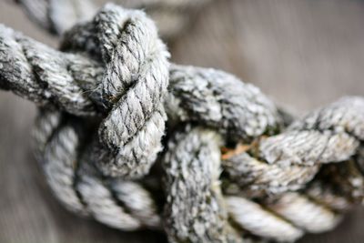 Close-up of rope tied on wood