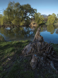 Reflection of trees in lake against sky